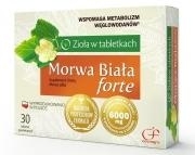 Zdjęcie Morwa Biała forte 60 tabl.